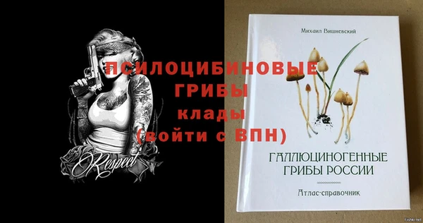 первитин Белокуриха