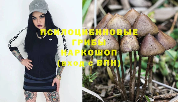 первитин Белокуриха